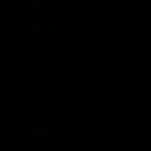 Meet your Posher, Hailey